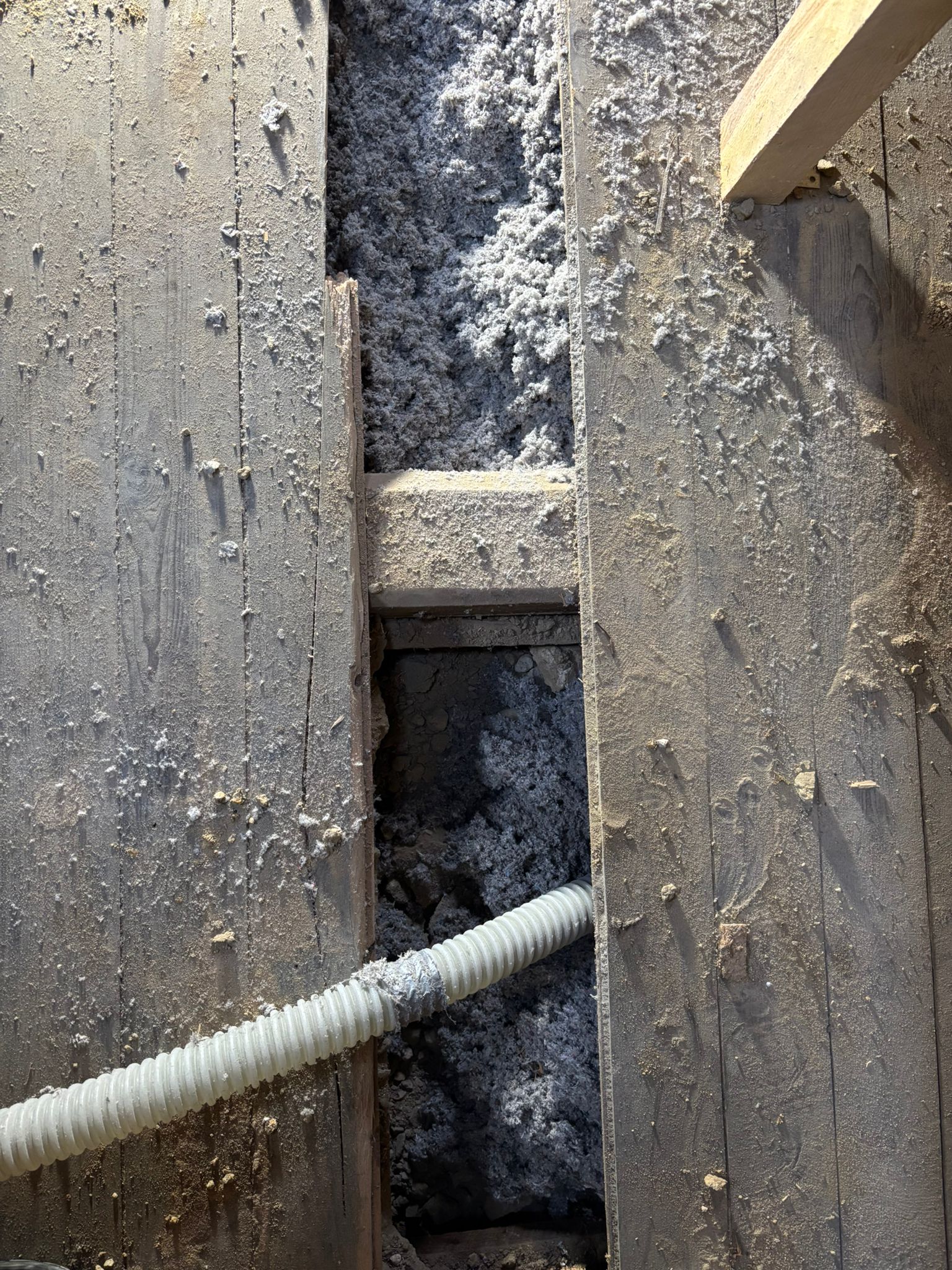 WhatsApp Bild 2025-11-08 um 17.49.19_5aa6d0ce