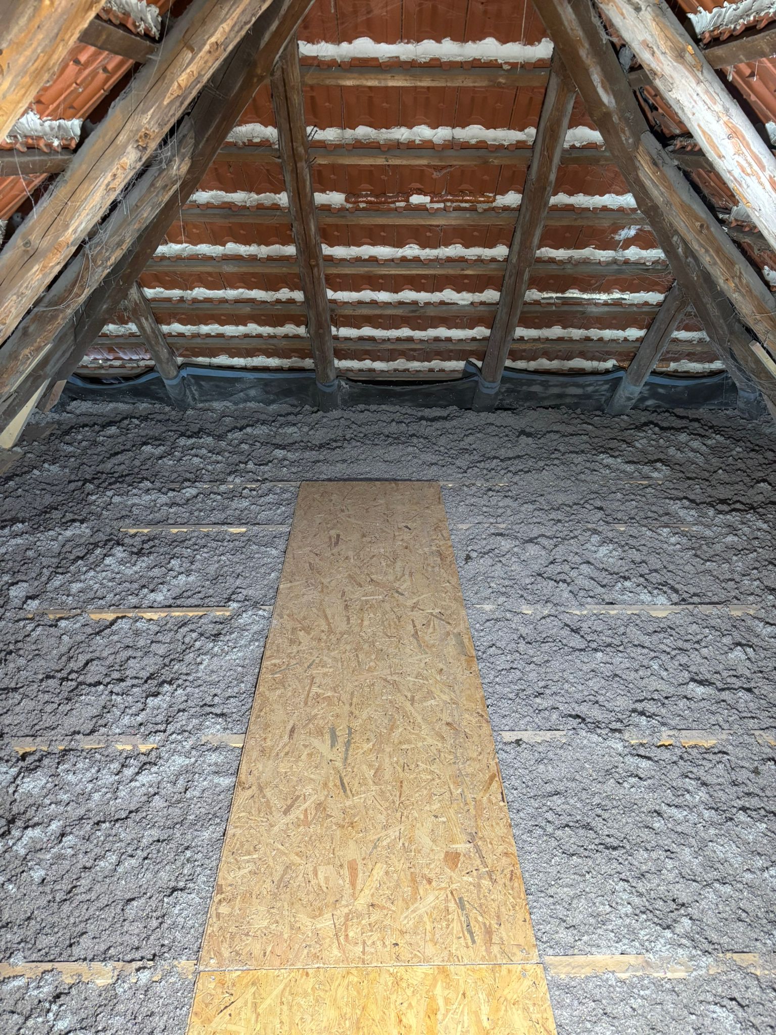 WhatsApp Bild 2025-11-11 um 18.29.00_11e226e6