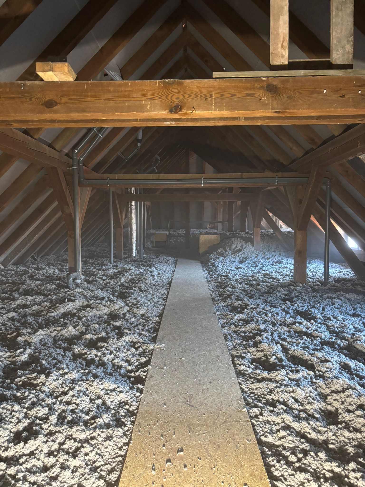 WhatsApp Image 2026-01-31 at 16.04.00 (3)